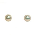 Round Cultured Pearl Earrings 5.5-6.0mm Yellow Gold Posts