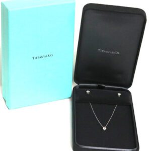 Tiffany & Co Platinum Diamond Pendant, Stud Earring Set La Pousette Backs 1.25ct TW