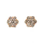 Rose Gold Diamond Cluster Earrings - 1.00ct TW